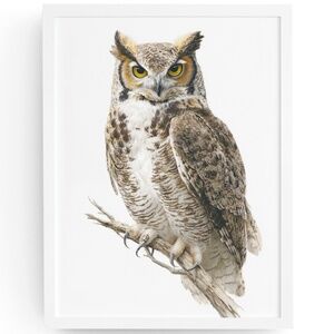 Watercolor Great Horned Owl Portrait Wall Art Print, Unframed - Woodland